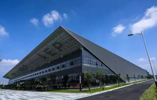 嶺南荔枝熟，最甜在花都——技術服務賦能荔枝產業發展